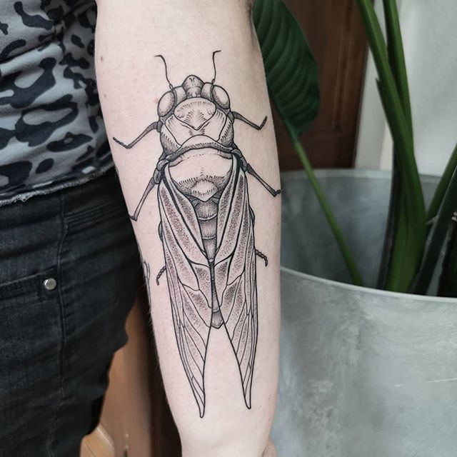Dot work tattoo of a cicada on the left hand