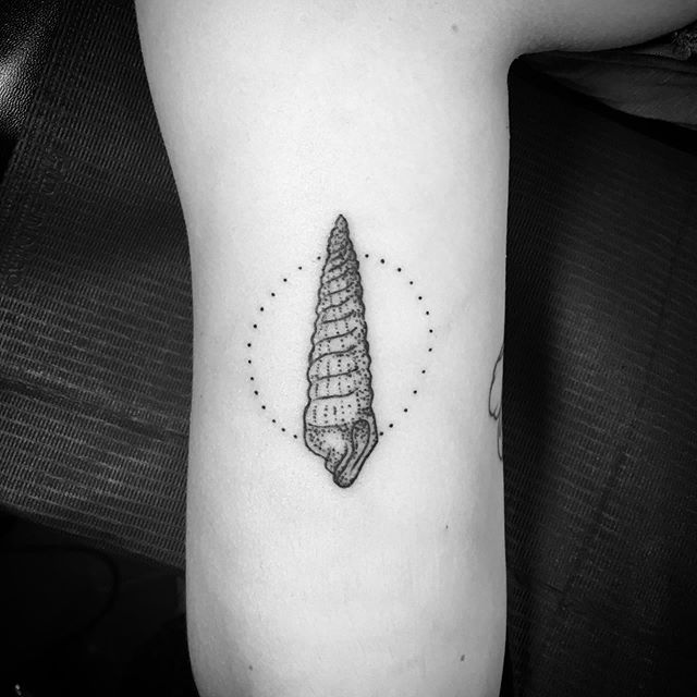 Dot work tattoo of a seashell
