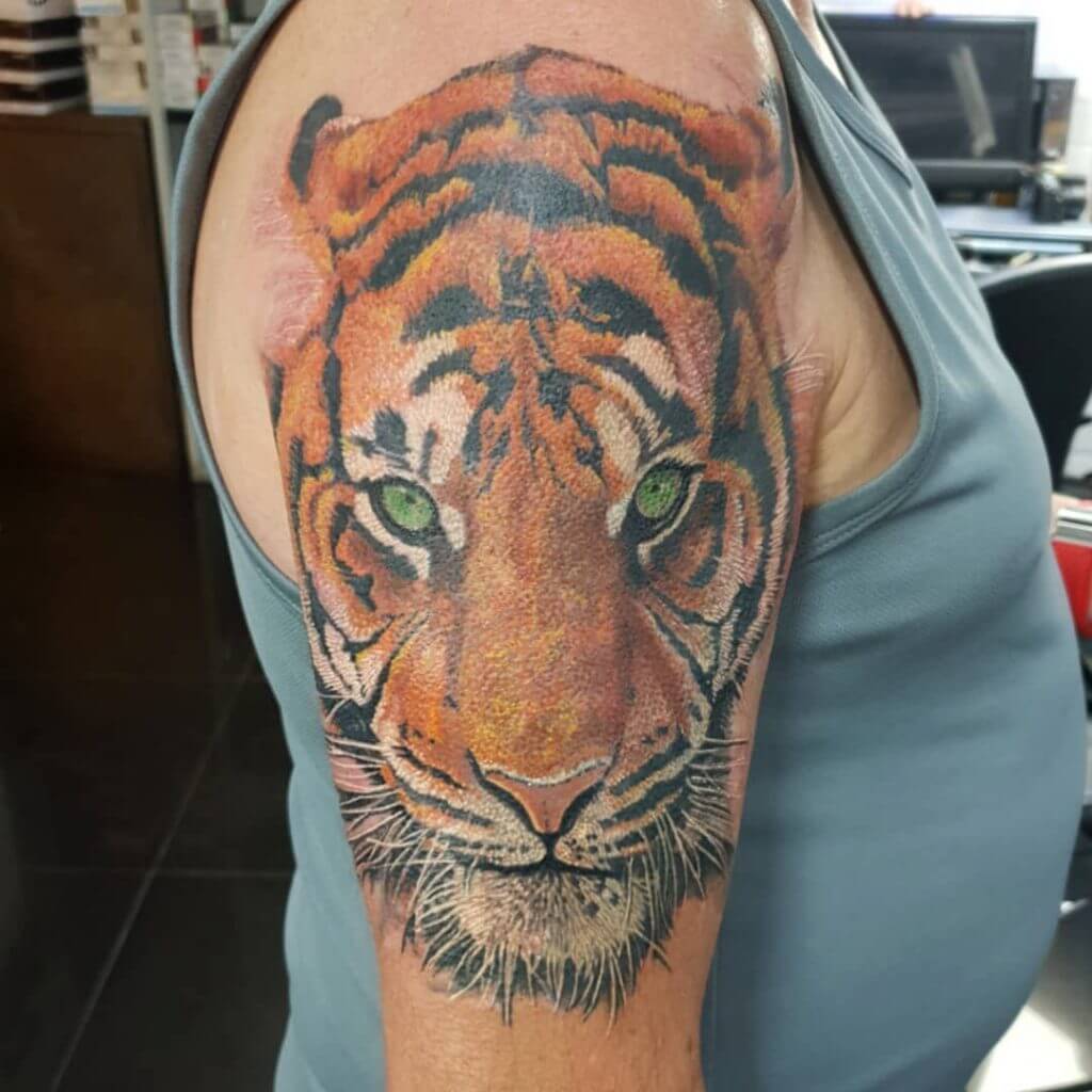 Color Mens tattoo of a tiger on the right shoulder