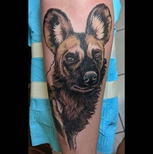 Color Animal tattoo of a hyena on the forearm