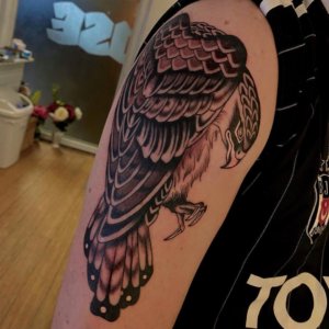 The falcon is a smaller bird but a good hunter so if you are a bird lover here are some ideas for interesting tattoos 2