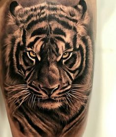 tiger tattoo - design, ideas and meaning 