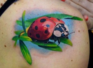 Impressive realistic ladybug tattoo ideas 3
