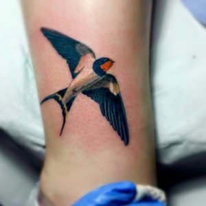 10 Beautiful swallow tattoo ideas for your inspiration 5