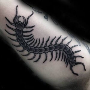 Are you scared of centipede Check these mind blowing centipede tattoos 2