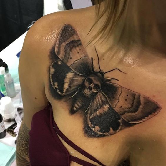Death-head moth or death moth is popular moth tattoo motive. Find out why