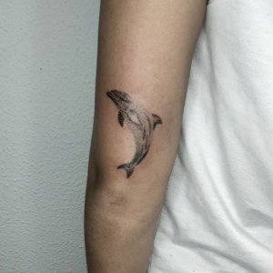 Dolphin tattoo on your arm can be impressive decoration 2