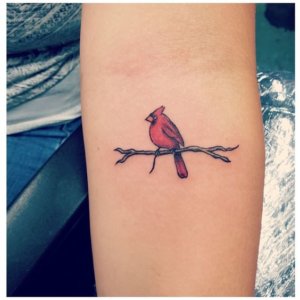 Fascinating small cardinal tattoo images 5