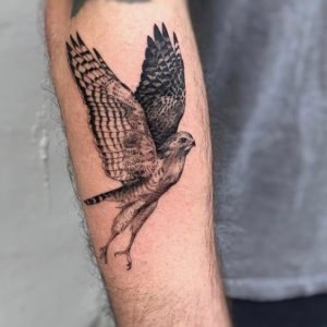 How to be outstanding with breathtaking forearm hawk tattoo 1