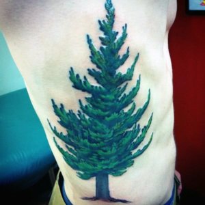 Why not get pine tree tattoo as it symbolizes wisdom and longevity 3