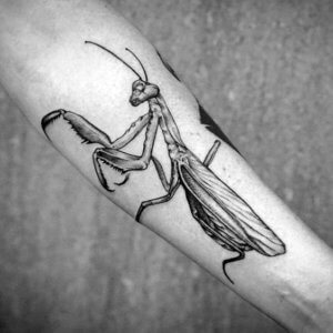 10 Crazy and mind blowing praying mantis tattoos 1
