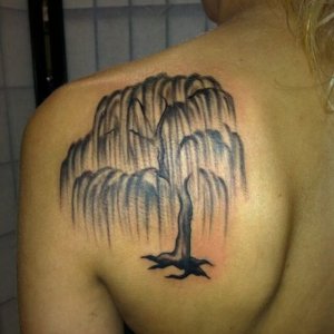 willow tree tattoo - design, ideas and meaning 