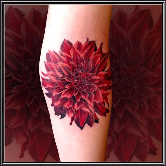 dahlia tattoo - design, ideas and meaning 