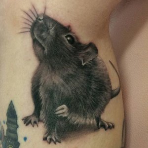 Can you imagine that you will make no mistake with rat tattoo 3