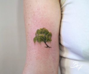 We choose these small willow tree tattoos to inspire you 4