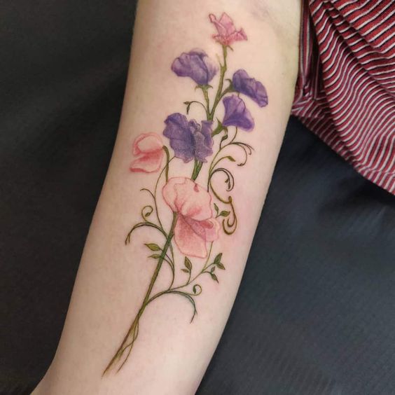 sweet pea tattoo - design, ideas and meaning 