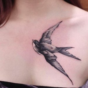 Discover swallow chest tattoos through 10 examples 2