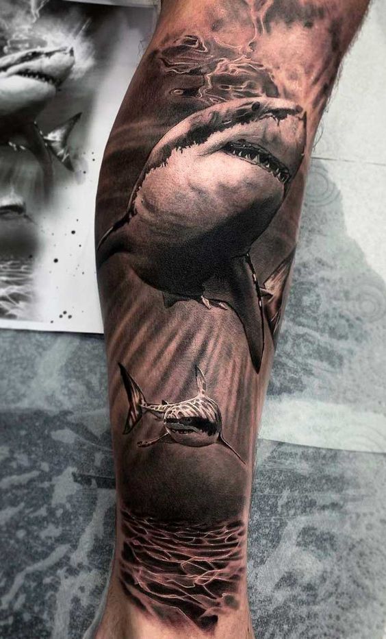 Calf realistic shark tattoo
