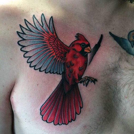 Cardinal tattoo on the chest