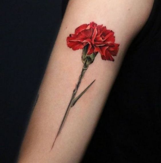 The red color of Carnation tattoo on the forearm