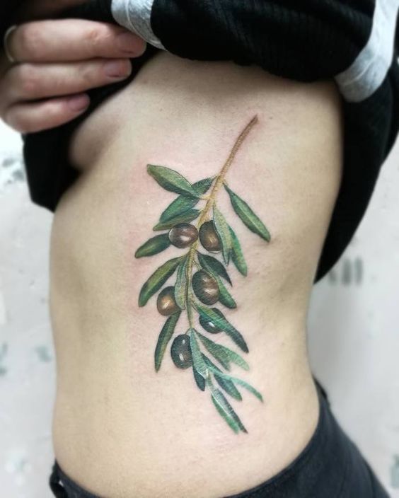 Olive branch tattoo on the ribs