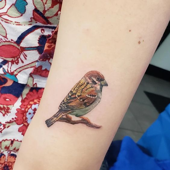 Sparrow tattoo meaning and beautiful examples