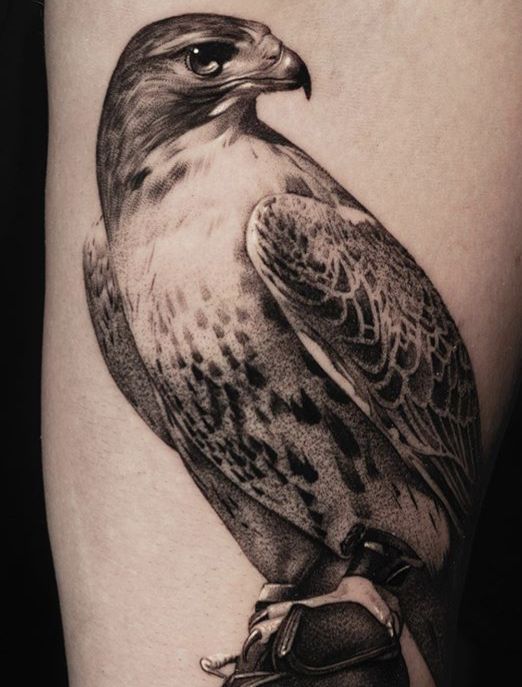 Black and gray Hawk tattoo