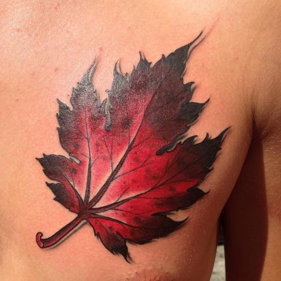 Leaf tattoo on the chest