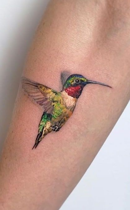 Color hummingbird tattoo on the forearm