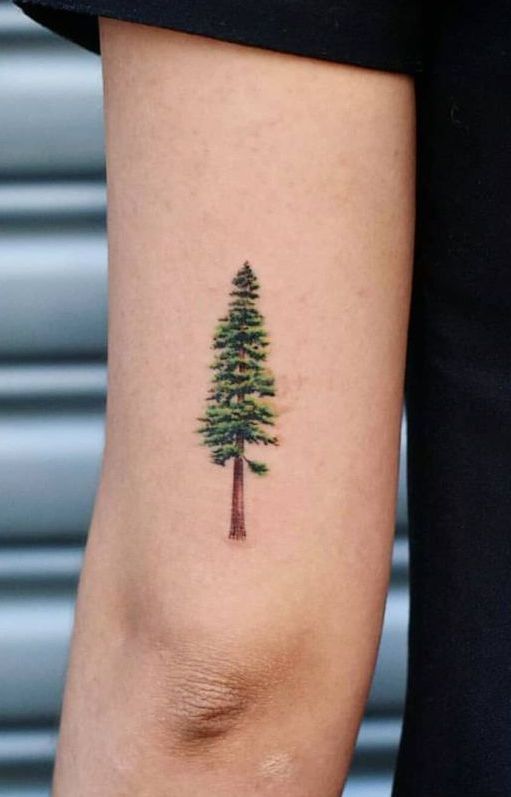 Pine tree arm tattoo