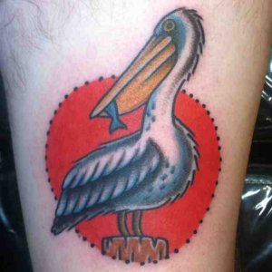 For incredible results why not try traditional pelican tattoo 5