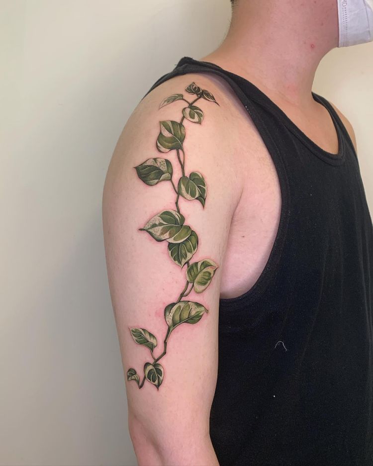 The meaning of vine tattoo and some ideas 4