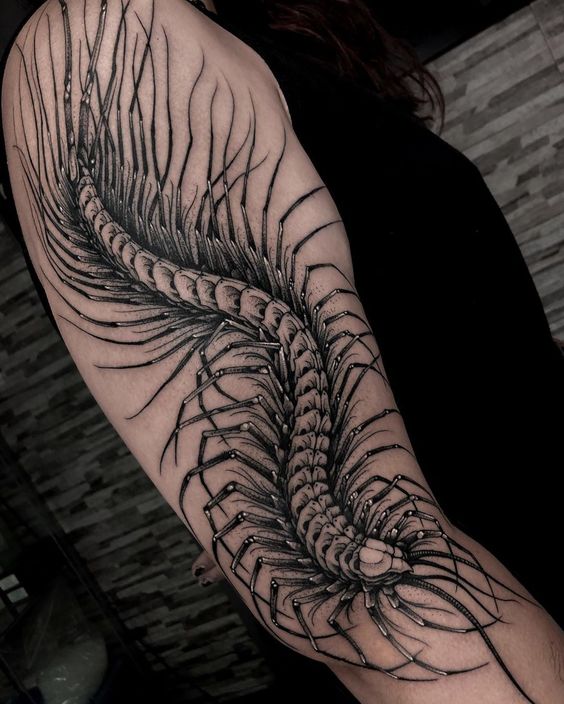 Meaning of Centipede Tattoo 1