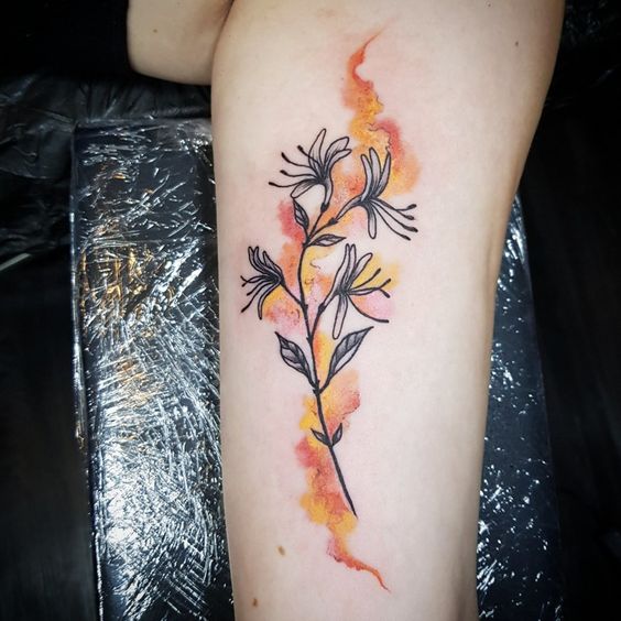 Meaning of Honeysuckle Tattoo: A Symbol of Love and Sweet Attraction