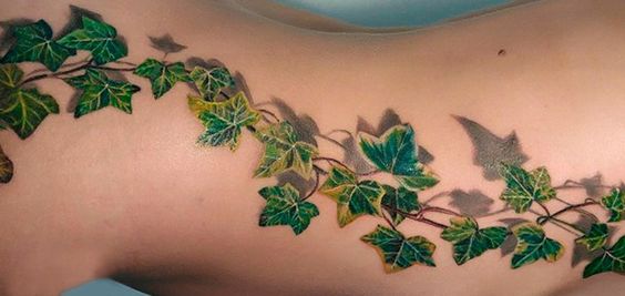 Panoramic ivy tattoo design on hand that artistically conveys the deep-rooted spiritual and symbolic meanings of the ivy plant.