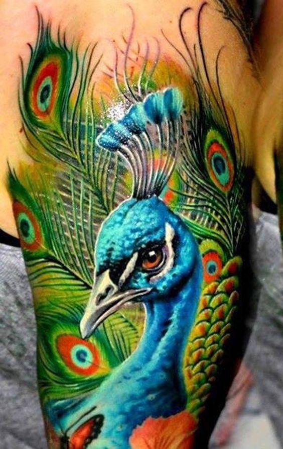 Peacock + Shoulder + Tattoo = Perfection!